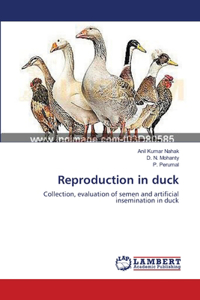 Reproduction in duck