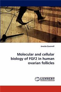Molecular and Cellular Biology of Fgf2 in Human Ovarian Follicles