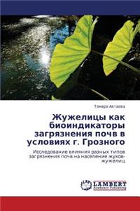 Zhuzhelitsy Kak Bioindikatory Zagryazneniya Pochv V Usloviyakh G. Groznogo