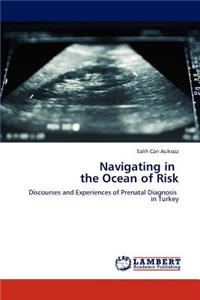 Navigating in the Ocean of Risk