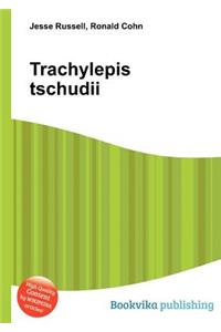 Trachylepis Tschudii