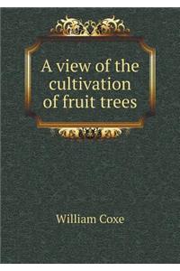 A view of the cultivation of fruit trees