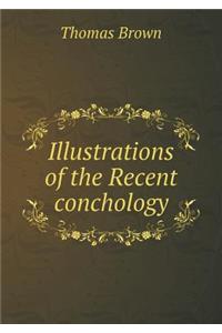 Illustrations of the Recent Conchology