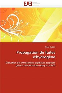 Propagation de Fuites d''hydrogène