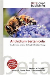 Anthidium Sertanicola