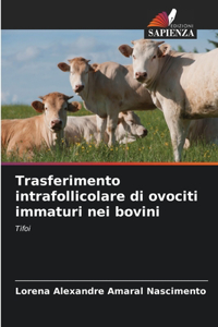 Trasferimento intrafollicolare di ovociti immaturi nei bovini