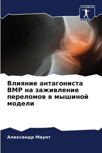 &#1042;&#1083;&#1080;&#1103;&#1085;&#1080;&#1077; &#1072;&#1085;&#1090;&#1072;&#1075;&#1086;&#1085;&#1080;&#1089;&#1090;&#1072; BMP &#1085;&#1072; &#1079;&#1072;&#1078;&#1080;&#1074;&#1083;&#1077;&#1085;&#1080;&#1077; &#1087;&#1077;&#1088;&#1077;&#