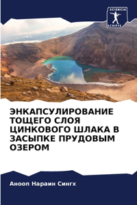 ЭНКАПСУЛИРОВАНИЕ ТОЩЕГО СЛОЯ ЦИНКОВОГО Ш