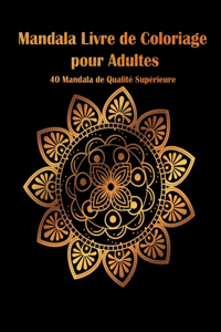 Mandala Livre de Coloriage pour Adultes