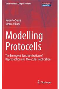 Modelling Protocells