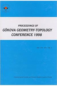 Goukova Geometry-Topology Conf 98