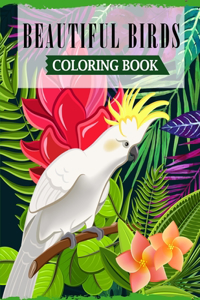 Beautiful Birds Coloring Book