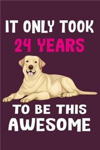 It only took 24 years to be this awesome