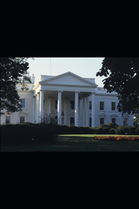 United States Criminal Law