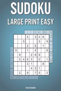 Sudoku Large Print Easy