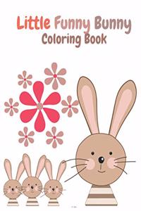 Little Funny Bunny Coloring Book