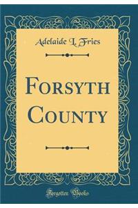 Forsyth County (Classic Reprint)