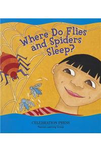 Where Do Flies and Spiders Sleep?