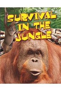 Survival in the Jungle