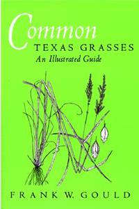 Common Texas Grasses