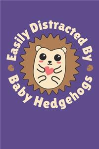 Easily Distracted By Baby Hedgehogs