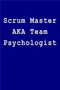 Scrum Master Aka Team Psychologist