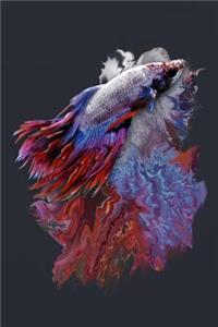 Betta Fish Notebook