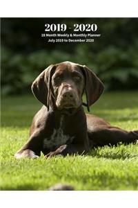 2019 - 2020 18 Month Weekly & Monthly Planner July 2019 to December 2020