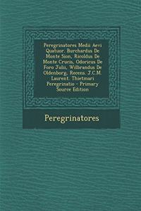 Peregrinatores Medii Aevi Quatuor. Burchardus de Monte Sion, Ricoldus de Monte Crucis, Odoricus de Foro Julii, Wilbrandus de Oldenborg, Recens. J.C.M. Laurent. Thietmari Peregrinatio - Primary Source Edition