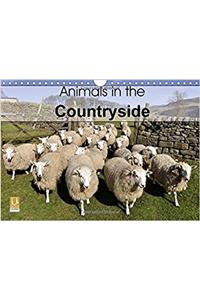 Animals in the Countryside 2017