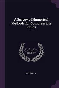 Survey of Numerical Methods for Compressible Fluids