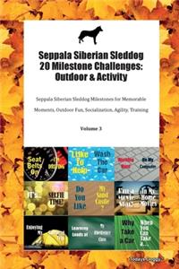 Seppala Siberian Sleddog 20 Milestone Challenges