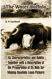 The Water Buffalo