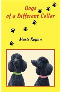 Dogs of a Different Collar