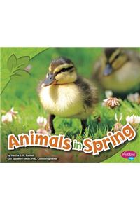 Animals in Spring