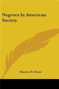 Negroes In American Society