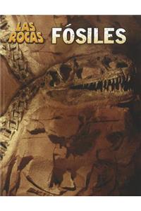 Fósiles