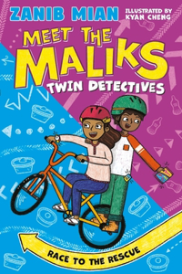 Meet the Maliks: Meet the Maliks Book 2