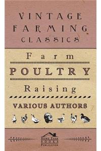 Farm Poultry Raising