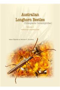 Australian Longhorn Beetles