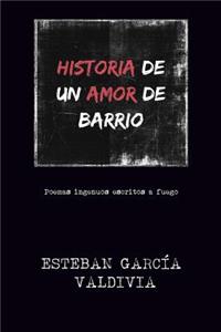 Historia de Un Amor de Barrio