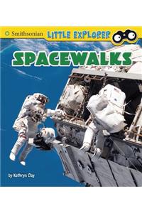 Spacewalks