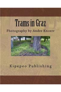 Trams in Graz: Photography by Andre Knoerr