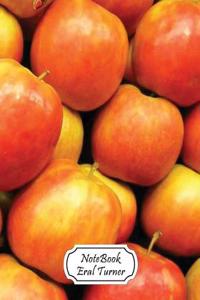 Apples - Journal Notebook Diary: Pocket Notebook Journal Diary, 110 Pages, 7 X 10 - Notebook Lined, Blank No Lined