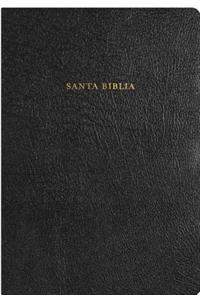 Reina-Valera Revision 1960 Rainbow Study Indexed Bonded Leather Black