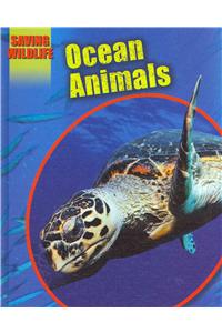Ocean Animals