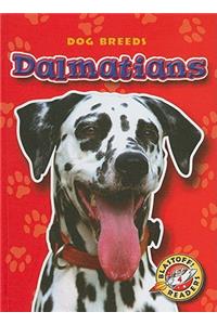 Dalmatians