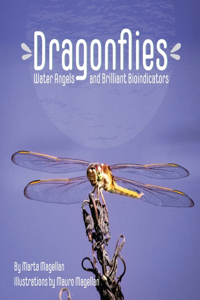 Dragonflies