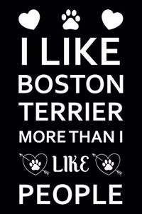 I Like Boston terrier More Than I Like People