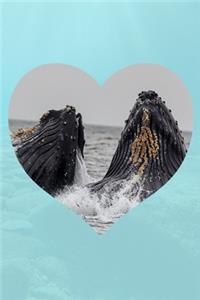 I Love Whales - Notebook For Children